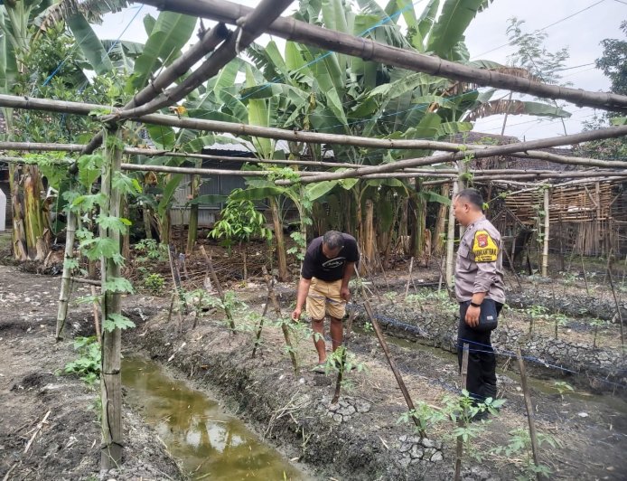 Bhabinkamtibmas Desa Kedungrejo Aktif Sambangi Lahan Warga Dukung Program Ketahanan Pangan Nasional